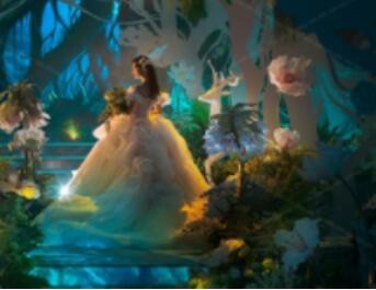 �Ƶ����۸����ѡ��