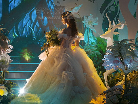 ����Ƶ�ѡ������Щע������