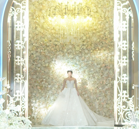 ѡ�Ϻ�月博������������������Ƶ�۸�ͦ���㣡